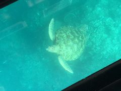 GTO̐약}T[rXւ̓eʐ^1