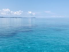 LSANEWSߔeXւ̓eʐ^1