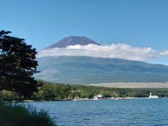 nGb`̃{[gnEXCւ̓eʐ^1