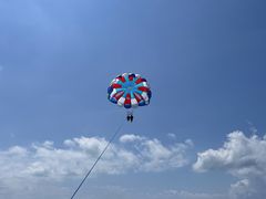 Yoshi̐Ί_u[V[T[ւ̓eʐ^1