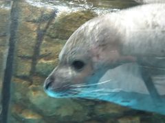 浅虫水族館の口コミ一覧 じゃらんnet