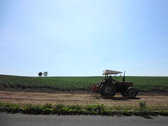 �ۂ�ۂ�����̃p�b�`���[�N�̘H�ւ̓��e�ʐ^1