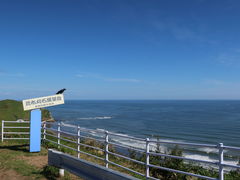 yosshy̍zΓW]ւ̓eʐ^1