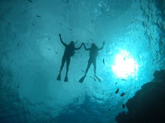 LauraNEWSߔeXւ̓eʐ^1