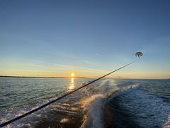 takky̐Ί_u[V[T[ւ̓eʐ^1