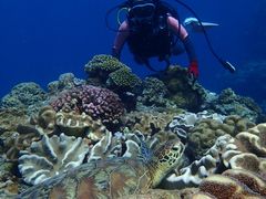 ₱̃RY~bNA[Xւ̓eʐ^1