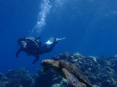 ₱̃RY~bNA[Xւ̓eʐ^2