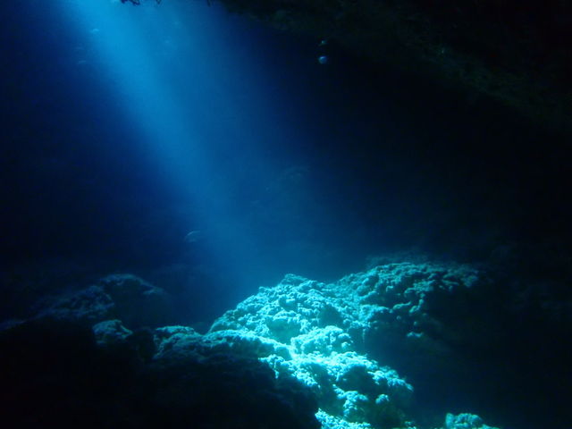 �C���@27.0��
�����@27.5��_BIGHOLIDAY-TRIP