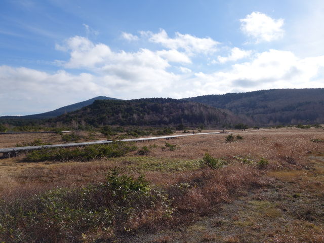 �H��ƗV����_��y��