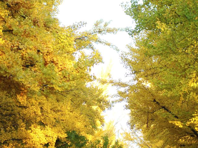 �C�`���E����2021_�k��C�`���E����