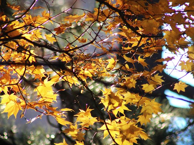 ���ƃR���{�@�����炱����B�e�X�|�b�g�ł�_�k��C�`���E����