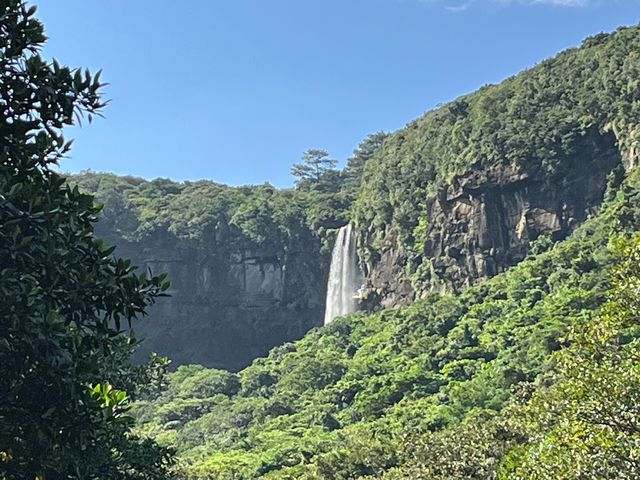 �J�k�[���~��āA���ڎw���܂��B_�s�i�C�T�[���̑�