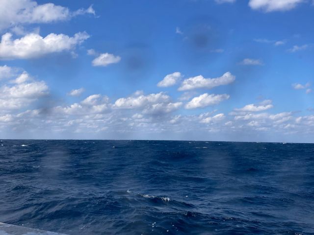 �V�C�́A�܂��܂��B�p���́A�g���Â��ł��B_���h�ό�