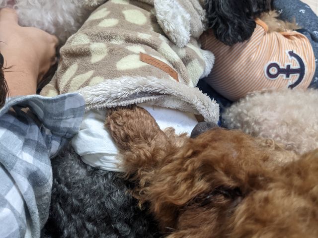 ���܂݂�ō�_���ʂ̂�����@��˓X