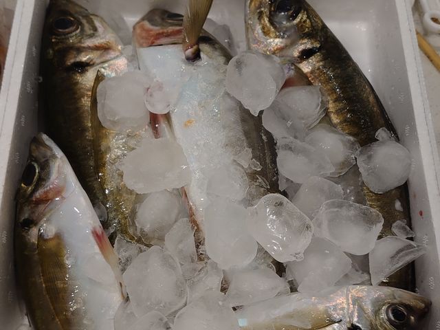 �����A�W���ނꂽ�����I_��D�[��