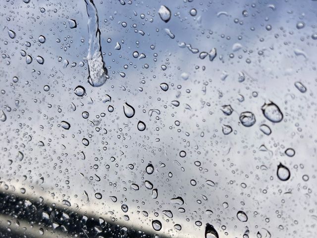 �Ί_�`����㌴�`�B�g�򖗂����ɑł����܂��B_���h�ό�