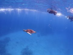 ł񂳂̐Ί__CrOVbv@ABCdiveւ̓eʐ^1