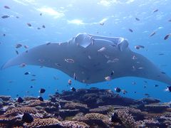 ^J̓ʓ_CuTCgւ̓eʐ^1