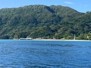 hotarũC_̕l̓eʐ^1