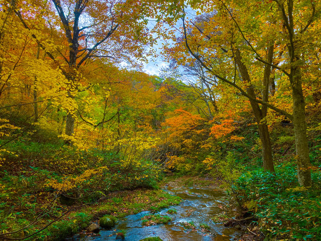 �b�݂̐X10����_�X�т̕��Z�ӂ���