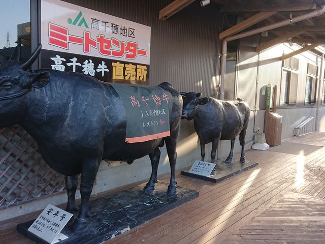 ڈ͂łB_䋍Xg aiȂ݁j