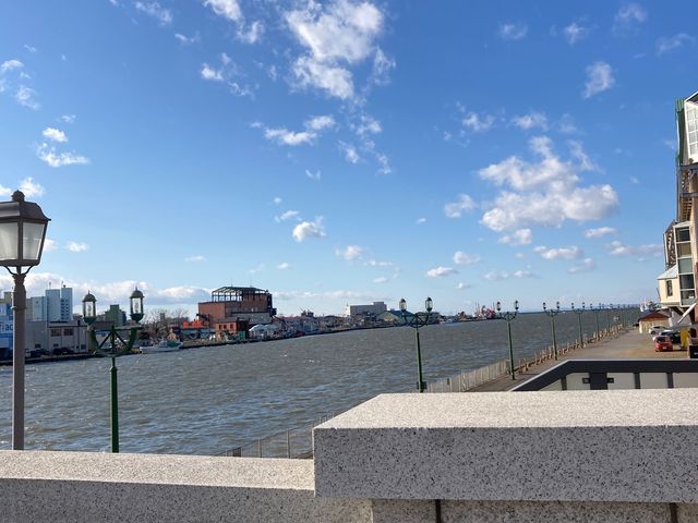 ������_������