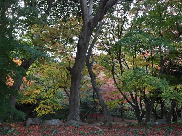 �h�{�s�@�ї����뉀_�ї������٥�ї����뉀