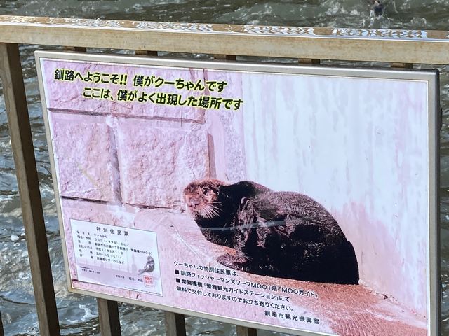 ���H��_���H��