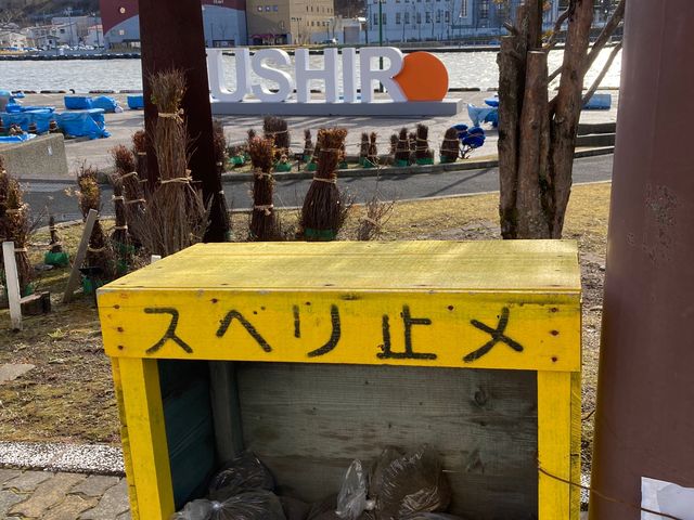 ������_������