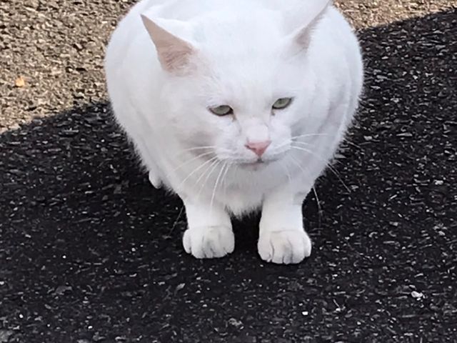 O`̌ԏh킢킢 [̓eʐ^2