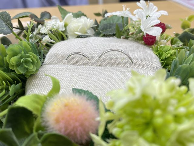 ���E�ɓ��_AIGIS��t�X