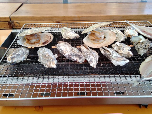 ŷقꖇJꖇTUG2Ɖy
\tghN1_̂܂