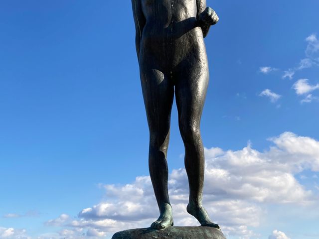 ������_������