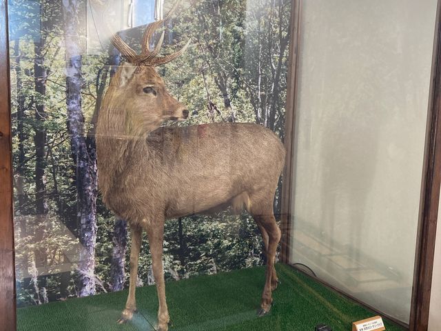 ���H�s���U�w�K�Z���^�[(�܂Ȃڂ��ƕ���)_���H�s���U�w�K�Z���^�[�i�܂Ȃڂ��ƕ����j