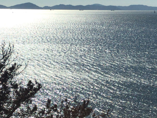 ���r�[�A���X�g��������̌i�F_������