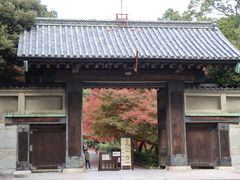 ̖ї٥ї뉀ւ̓eʐ^1