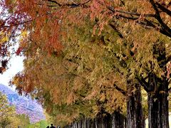 CJr̃^ZRCA؂ւ̓eʐ^1