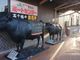 masaさんの高千穂牛レストラン 和（なごみ）への投稿写真2