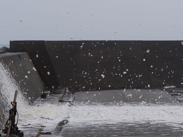 yosshy̔g̉Ԃ̓eʐ^1