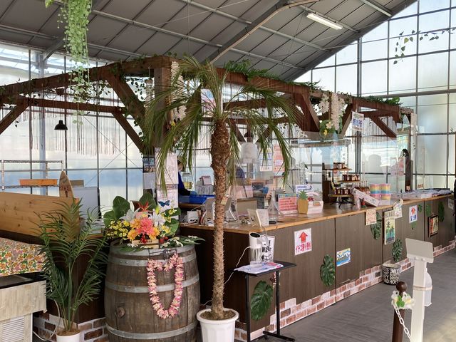 ���������Ă��āc�X���ɓ����䕂̍��肪���܂��B_���R�t�@�[���g�`�m�x�t