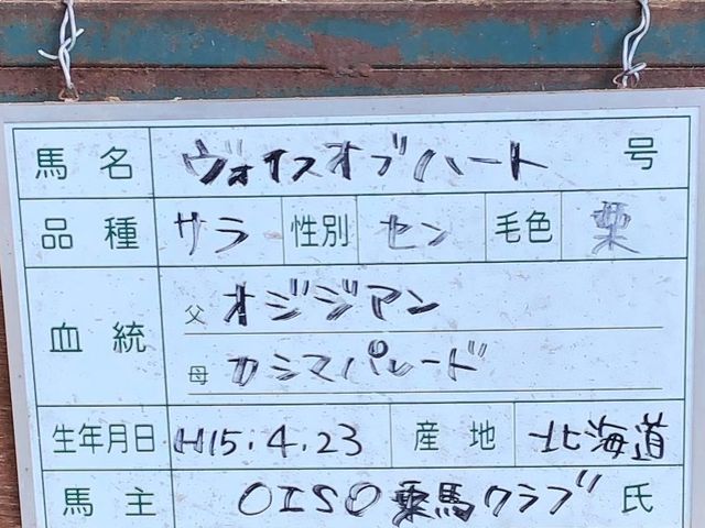 �n�[�g���񍡓��͂��肪�Ƃ�_OISO�@��n�@�N���u