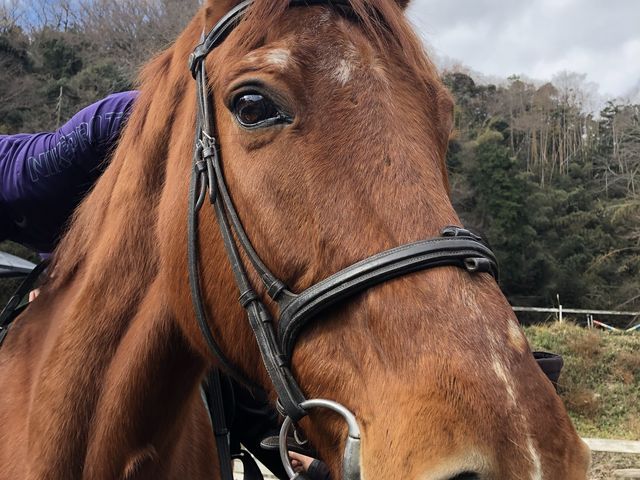 �D��������̃n�[�g����A�K���Ȏ��Ԃ����肪�Ƃ�
_OISO�@��n�@�N���u