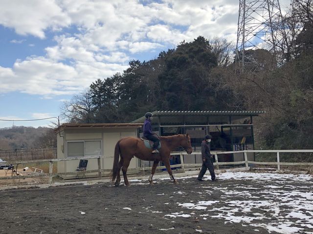 ���߂ď�n�̌����܂���
�ƂĂ��e�؂ȃX�^�b�t����ň��S���āA��n�̌��o���܂����B
_OISO�@��n�@�N���u