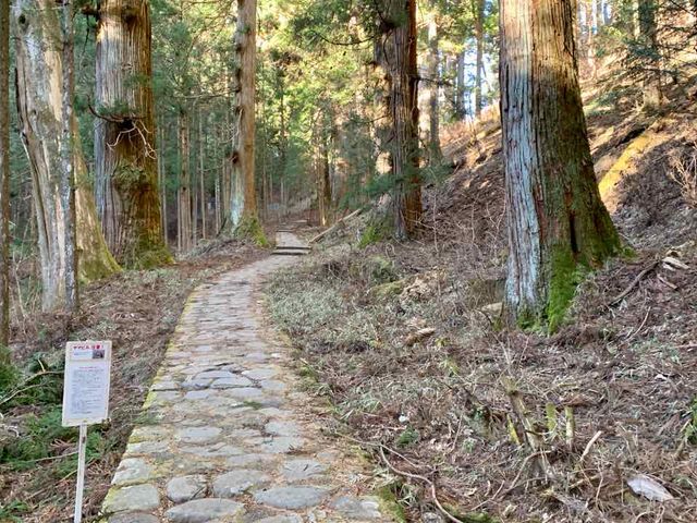 Ắu}qɒӁvƂf܂B_jՒTHi_ЃR[Xj