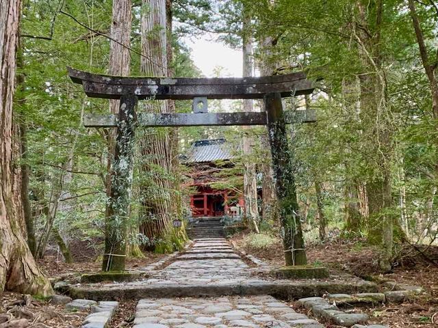 ^̒BȌڂĐ΂𓊂āAђʂΉ^t炵B_jՒTHi_ЃR[Xj