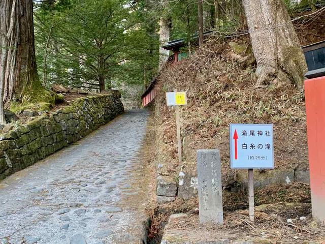 rR_ИéuvB_jՒTHi_ЃR[Xj