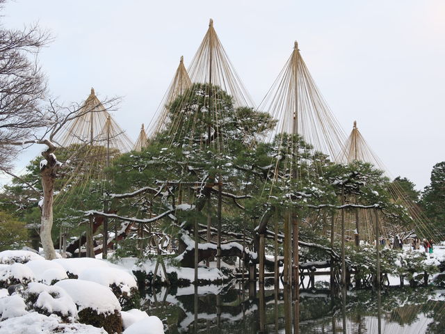 美しい雪吊り_兼六園（石川県金沢市）