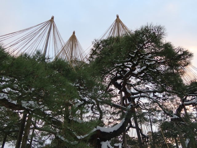 �ǂ̊p�x���猩�Ă��������ł�_���Z��