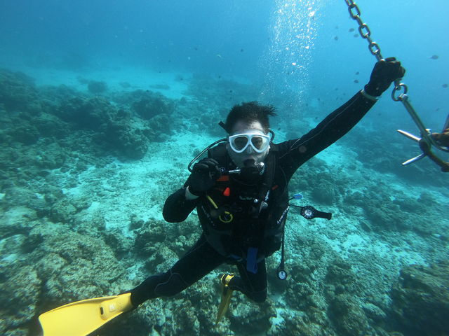 ���S��~�A���[5m�ň�ċz�A�A_R-MATES Okinawa Diving Club