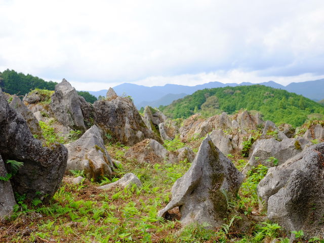 ScScBقǓoȂĂB_iE}JXg